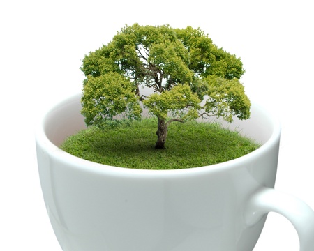 Nature in mugの写真素材