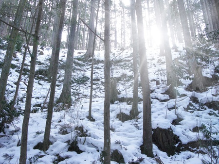 Snow sceneの写真素材