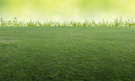 Background image of meadow