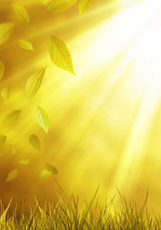 Image of falling leafの写真素材