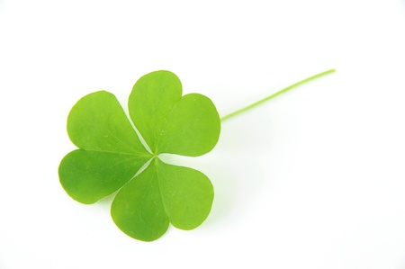 Clover