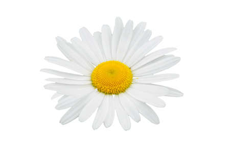 Jeansの写真素材