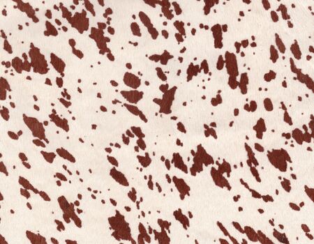 It is a leather texture material of animal print patternの写真素材