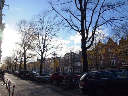 Autumn Sunny roadのeditorial素材