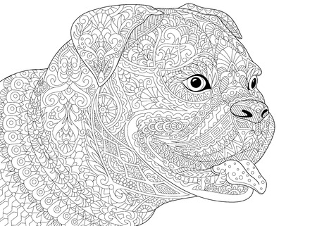 stylized cartoon german boxer dog breed isolated on white background.  sketch for adult antistress coloring book page, T-shirt emblem, tattoo with doodle, design elementsのイラスト素材