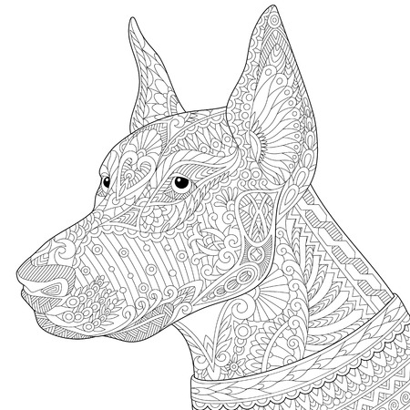 Stylized doberman pinscher dog, isolated on white background.
Freehand sketch for adult anti stress coloring book page with doodle elements.のイラスト素材