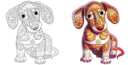 Coloring book page of dachshund puppy dog. Monochrome and colored samples.のイラスト素材