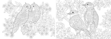 Coloring book. Couple of lovely birds in floral garden. Line art design for adult or kids colouring page in zentangle style. Vector illustration. のイラスト素材