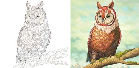 Adult coloring page. Owl bird. Colorless and color sample painted in watercolor imitating style. Coloring design with doodle and elements. Vector illustration.のイラスト素材