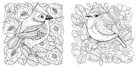 Coloring pages. Two birds among beautiful blooming flowers. Line art design for adult colouring book with doodle and elements. Vector illustration.のイラスト素材