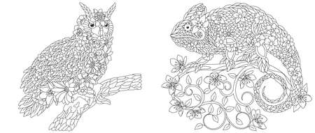 Coloring pages set with fantasy floral animals. Owl and chameleon with flowersのイラスト素材