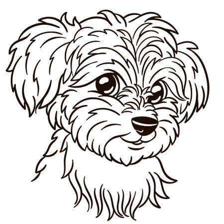 Maltese dog cartoon illustration. Cute animal print for t-shirts, mugs, totes, stickers, nursery wall arts, greeting cards, etc.のイラスト素材