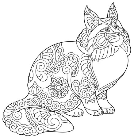 Cute maine coon cat. Adult coloring book page in mandala styleのイラスト素材