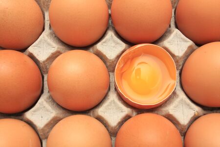 group of fresh raw egg