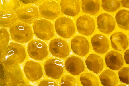 honeycomb closeup with sweet honeyの写真素材