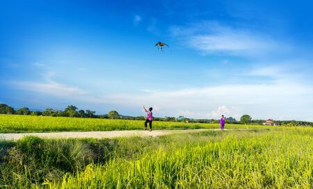 boys flying a kite in a paddy fieldの写真素材