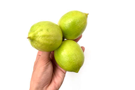 holding a lemon on a white backgroundの写真素材