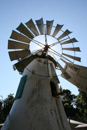 Old white windmill with turtle doves eating