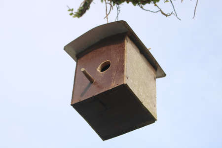 Birdhouse on the tree in the garden. Birdhouse in the garden.