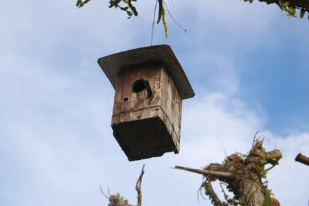 Wooden birdhouse hanging on a tree branch against the blue skyの写真素材