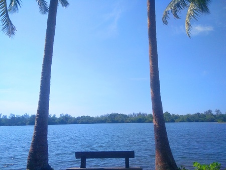 Bench in front of lake stock photo -image