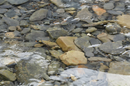 River and stones