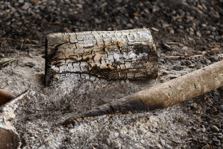 burnt woodの写真素材