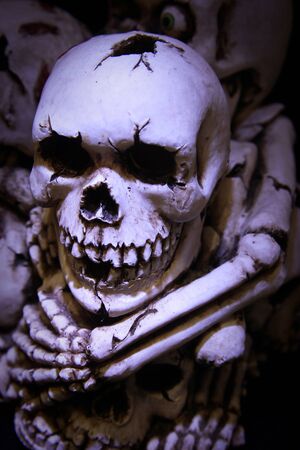 Skulls and bonesの写真素材