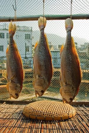Preserved Fish are hanging upside down at a market