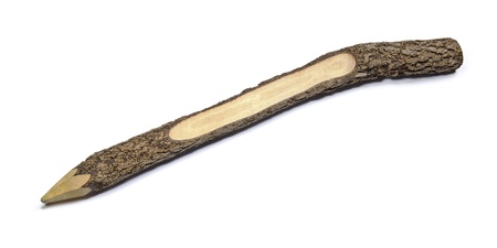 Tree Branch Pencil on white backgroundの写真素材