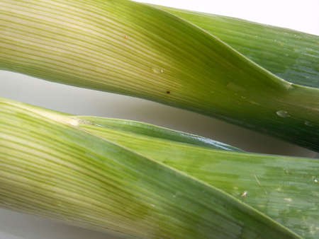 two leeks