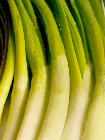 chive backgroundの写真素材