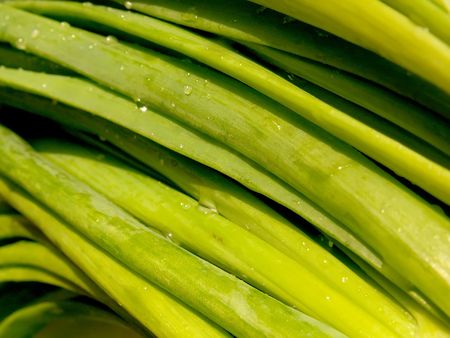 chive backgroundの写真素材