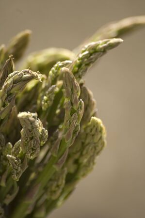fresh green asparagusの写真素材