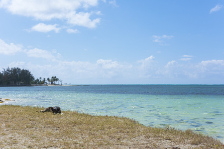 Mauritius islandの写真素材