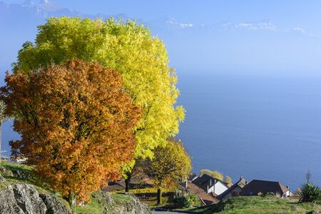 View over lake Geneva and the alps on an autumn day with colorful treesの写真素材