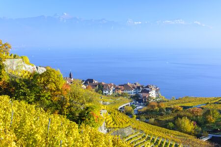 Golden vineyard terraces overlooking lake geneva and facing snow topped alp mountains, Lavaux, Switzerlandの写真素材