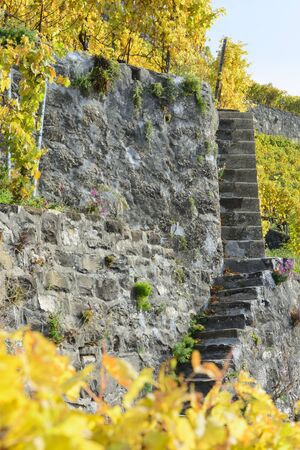 Typical stairs in Lavaux vineyard, Switzerland - autumn 2015