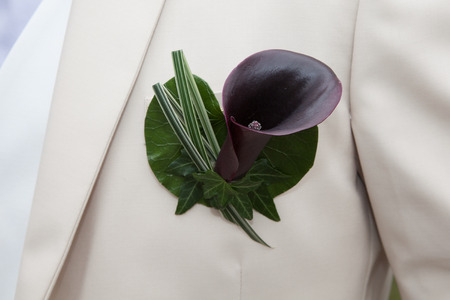Groom boutonniereの写真素材