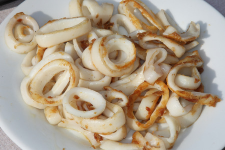 Fresh calamari