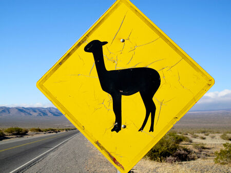 Yellow signの写真素材