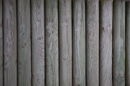 Wood pine plank white texture backgroundの写真素材