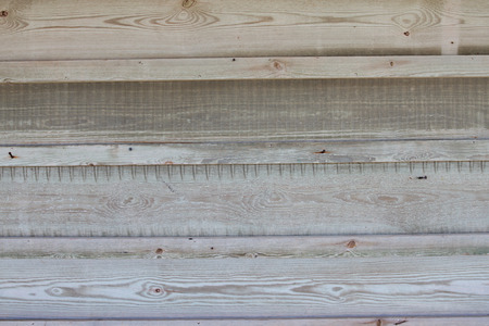 White and light grey wood texture. background old panels