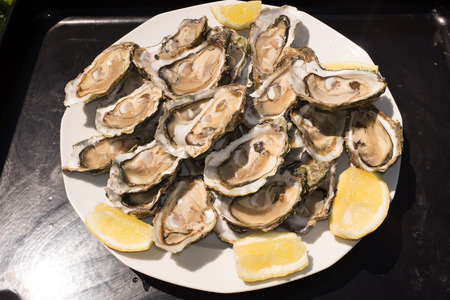 Oysters on the white plate from the Atlantic Oceanの写真素材