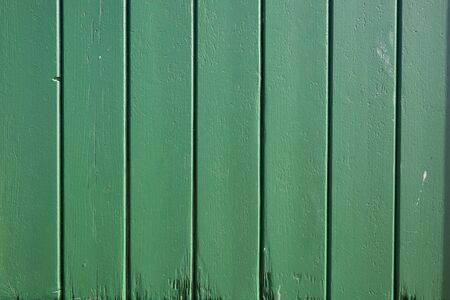 Wood plank green texture background. Wood textureの写真素材