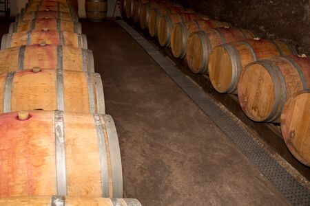 Wine barrels in a old wine cellar
