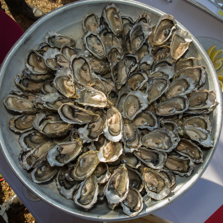 Fresh oysters at a French marketの写真素材