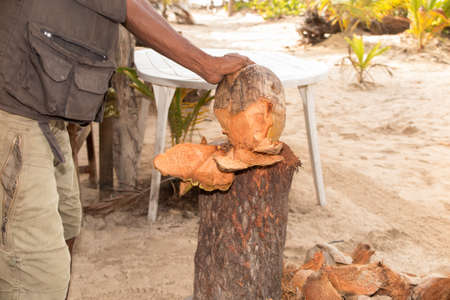 Man chopping top of coconut to sell refreshing coconut milk to touristsの写真素材
