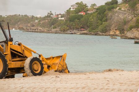 Sargasso seaweed in the Caribbean beach, cleaning.の写真素材