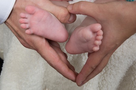 Newborn baby feet on female hands, shape like a lovely heartの写真素材
